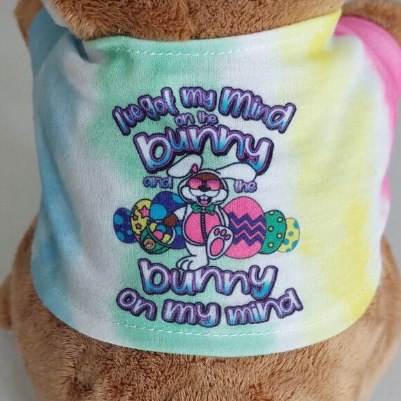 Buc-ee's Easter Beaver 2022 Plush Collection - Picture 6 of 16